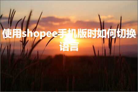 跨境电商知识:使用shopee手机版时如何切换语言